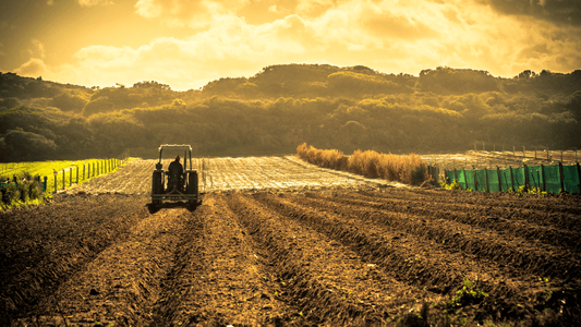 Você sabia? Segundo o IPEA, a produtividade do agronegócio do Brasil cresceu 400% desde 1975