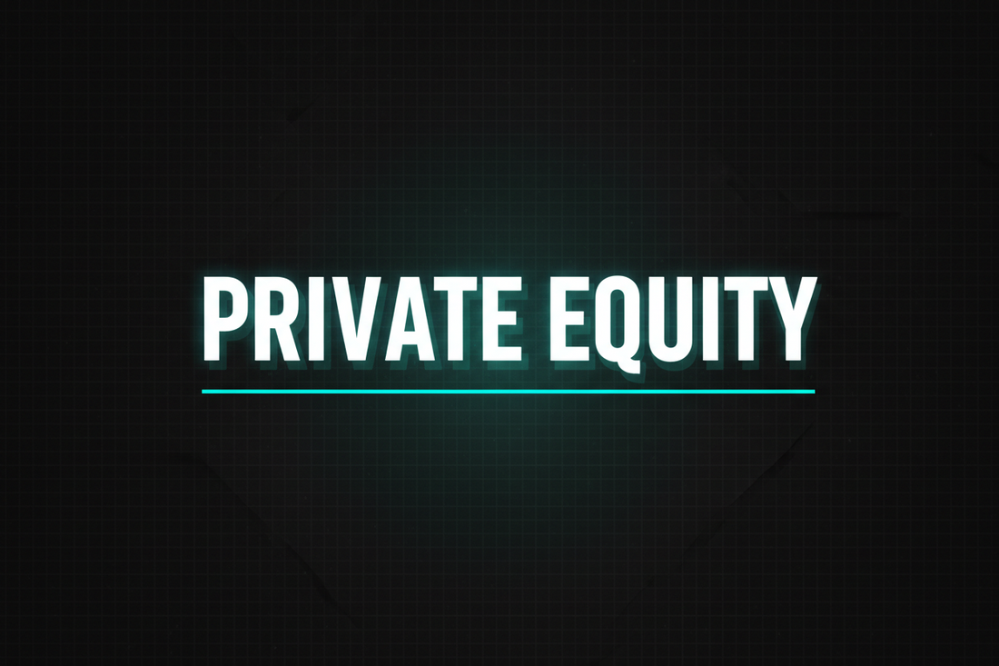 Private Equity: Perfil dos Investidores e Veículos de Investimento