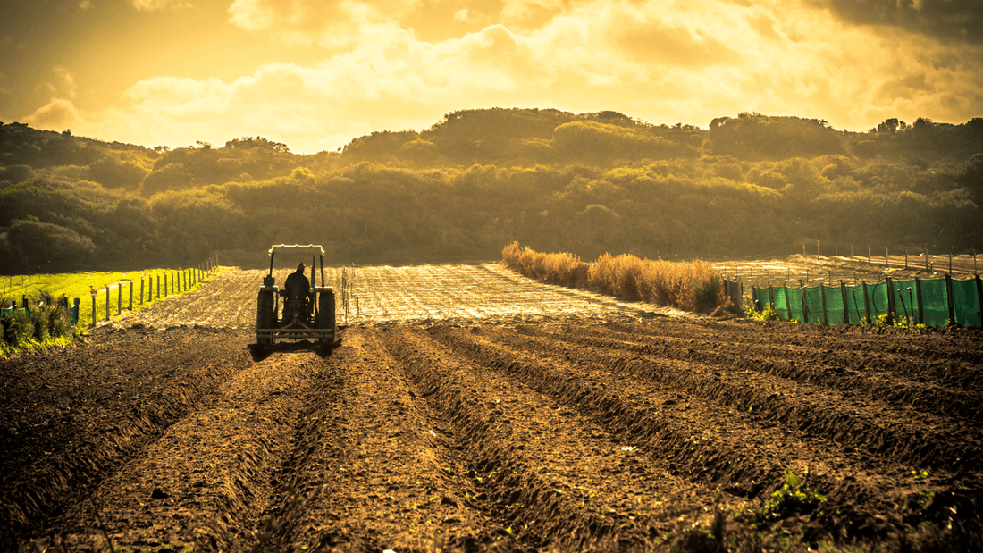 Você sabia? Segundo o IPEA, a produtividade do agronegócio do Brasil cresceu 400% desde 1975