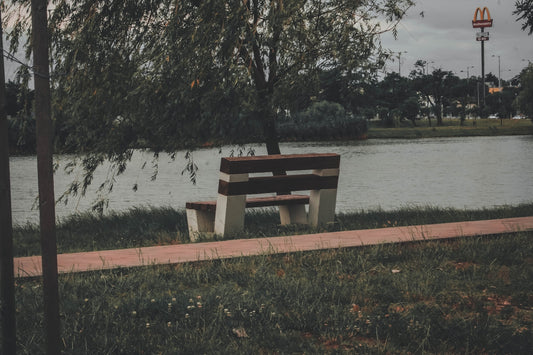 brown wooden bench near body of water during daytime