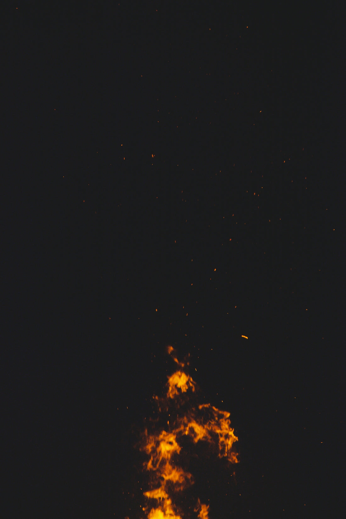 orange and black stars during night time