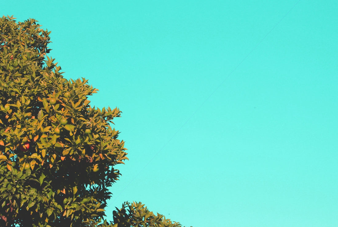 a kite is flying high in the sky