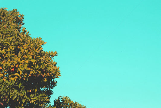 a kite is flying high in the sky