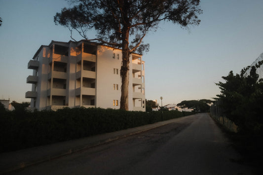 an apartment building with a tree in front of it