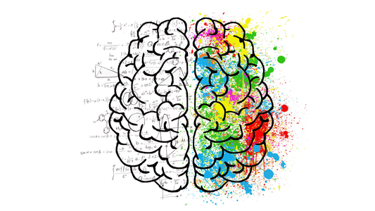 Mini Curso de Finanças Comportamentais